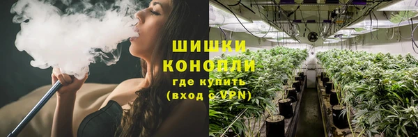 дурь Осташков