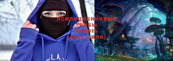 шишки Абинск