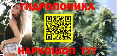 бошки Долгопрудный