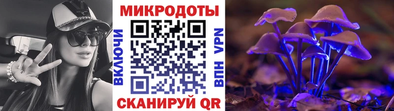 Псилоцибиновые грибы Psilocybine cubensis  Курск 